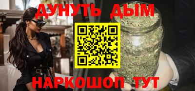 a pvp Новозыбков
