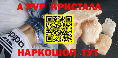 a pvp Новозыбков