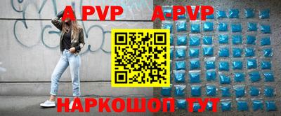 a pvp Новозыбков