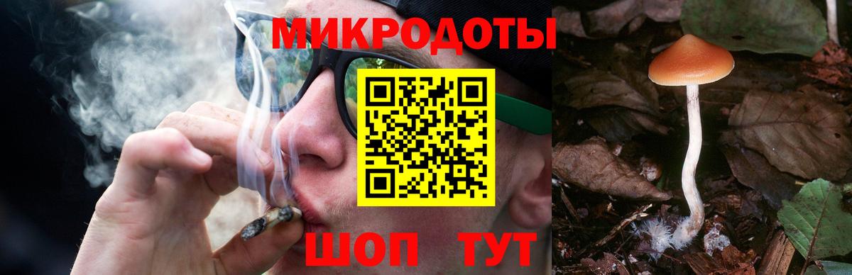 Галлюциногенные грибы мицелий Сосновоборск